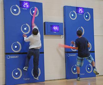 Pro Trainer Wall 